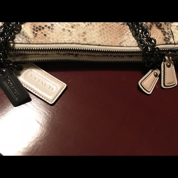 Python Skin Coach Purse - Picture 7 of 8